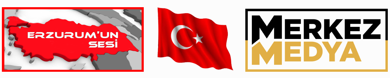 Ali Özdemir, Merkez Medya