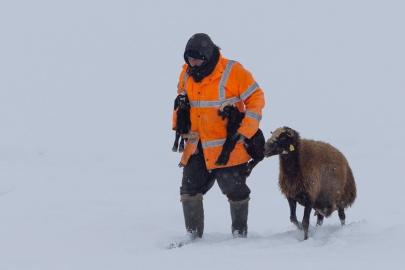 Bingöl Karlıova’da besicilerin kış mesaisi
