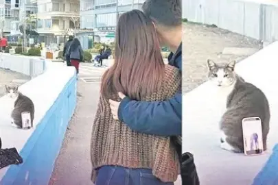 Medya da kapısının önünü süpürsün