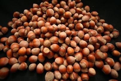 Türk fındığı küresel pazarda iddialı: 122 ülkeye ihraç edildi