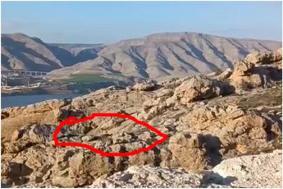 Batman'da dağ keçileri sürü halinde görüntülendi