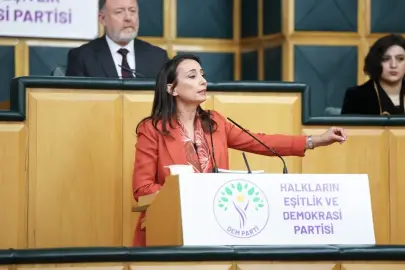 DEM Parti Eş Genel Başkanı Hatimoğulları: 'İnfaz rejimi toplumsal barışı güçlendirmelidir'