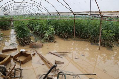 Geçen haftaki yağış ve hortumun Antalya'ya faturası 300 milyon TL