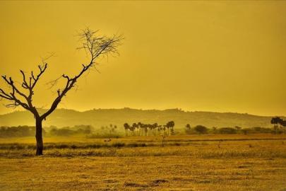 Geri dönüşü olmayan nokta: Bilim insanları sera dünya riskine karşı uyarıyor