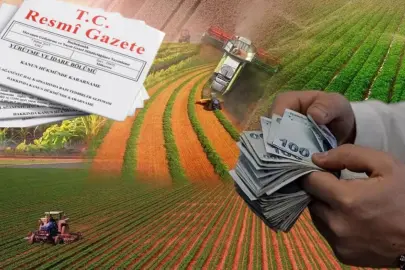 Hazine destekli kredilerde yeni dönem... Çiftçi ve esnafa kredi şartları yenilendi