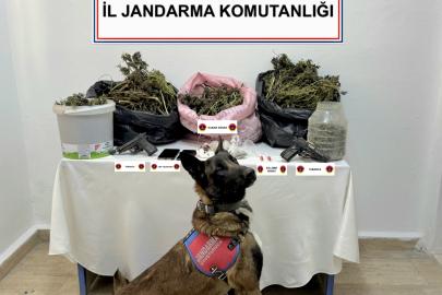 Jandarmadan uyuşturucu operasyonu