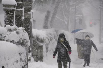 Japonya'da şiddetli kış şartlarından kaynaklanan can kayıplarının sayısı 46'ya yükseldi