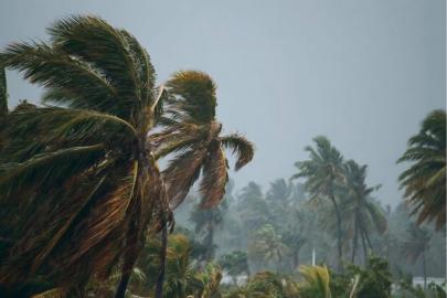 Madagaskar'ı Gezani Kasırgası vurdu:  36 ölü, 6 kayıp