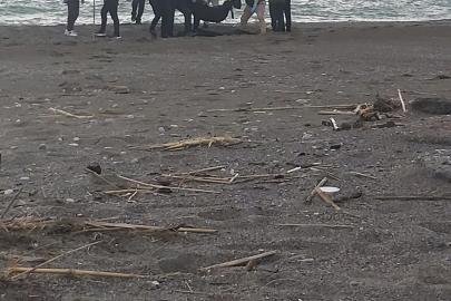 Muğla’da sahilde erkek cesedi bulundu