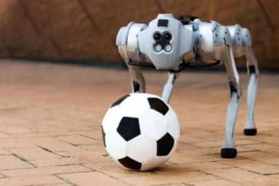 Robot köpekler, 2026 Dünya Kupası'nda görev yapacak