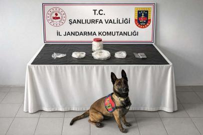 Şanlıurfa’da narkotik operasyonu: 538 gram sentetik uyuşturucu ele geçirildi