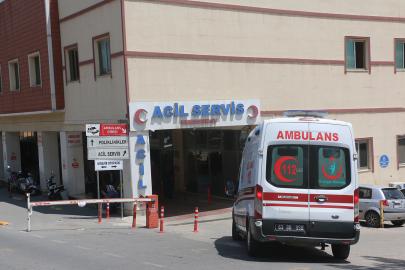 Şanlıurfa’da otomobil at arabasına çarptı: 2 yaralı
