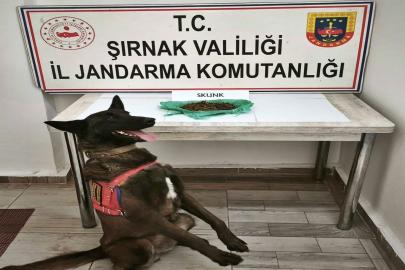 Şırnak asayiş ve kaçakçılık operasyonları: 27 tutuklama