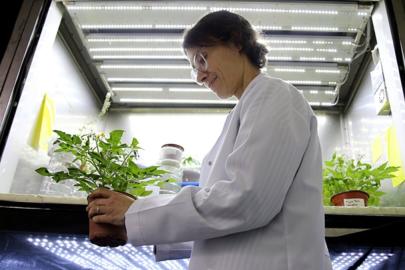 Türk bilim insanı, uzayda bitki yetiştirme çalışmalarına öncülük ediyor