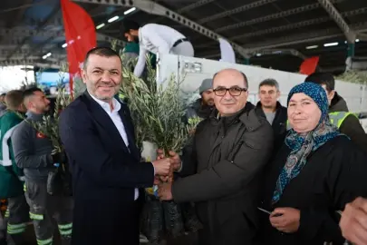 Üreticiye 84 bin sertifikalı zeytin fidanı