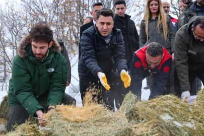 Vali Aygöl, yaban hayvanları için sahada