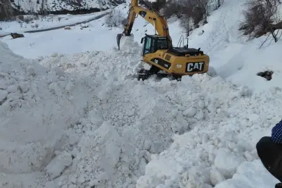 Van'da çığ nedeniyle kapanan yol açılmaya çalışılıyor