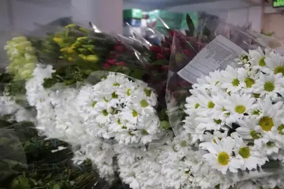 Yalova'da çiçek mezatında Sevgililer Günü yoğunluğu