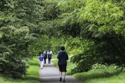 Yavaş hareket etmenin 7 ilginç faydası