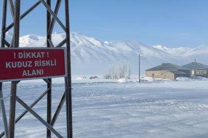 Yüksekova’da kuduz vakası