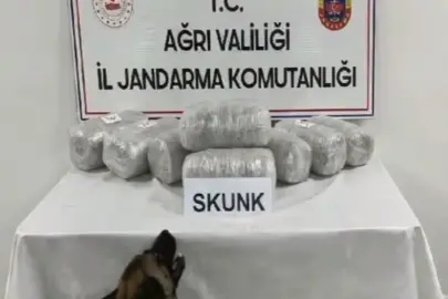 Ağrı’da 10 kilogram skunk ele geçirildi