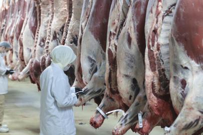 Ankara merkezli 8 ilde 'kırmızı et' operasyonu: 30 şüpheli gözaltına alındı