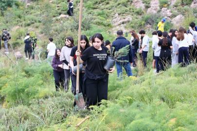 Bodrum'da yanan hatıra ormanını yeşertmek için 1500 fidan dikildi