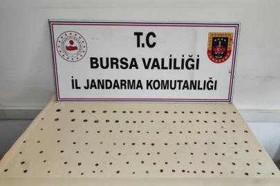 Bursa'da tarihi eser operasyonu: 137 sikke ele geçirildi