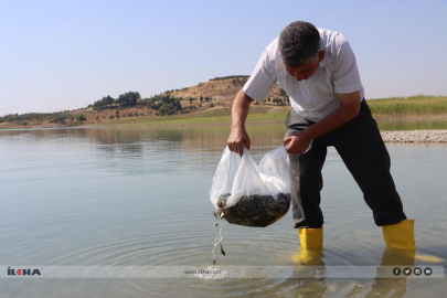Gaziantep'te sazangiller için av yasağı başladı
