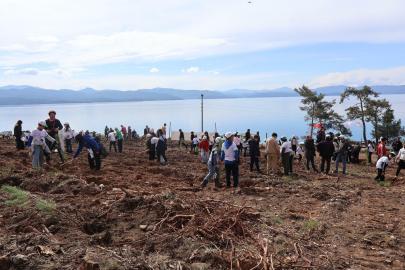 Muğla'da 350 fidan toprakla buluşturuldu