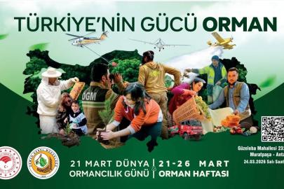 Orman Haftası etkinliği 24 Mart’ta