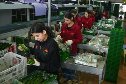 Türkiye'nin sebze tüketiminin yarısını karşılayan Antalya Hali'nden 64 ülkeye ihracat