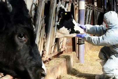 Balıkesir’de hayvan pazarlarının kapatıldığı iddiası yalanlandı