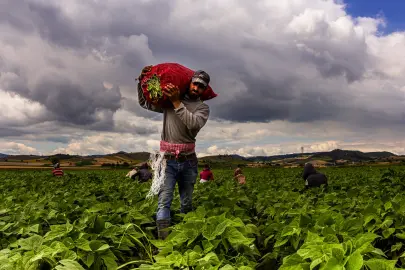 Bursa Yenişehir'de tarımı geliştiren, sanayi ve ticareti büyüten anlayış hakim