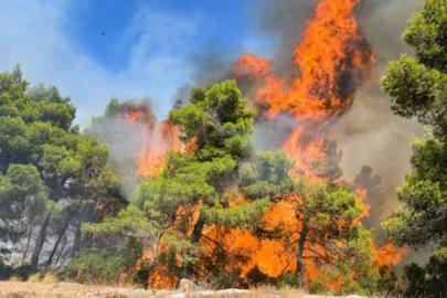 Çiftçi ve Yumaklı’dan orman yangınları için koordinasyon toplantısı