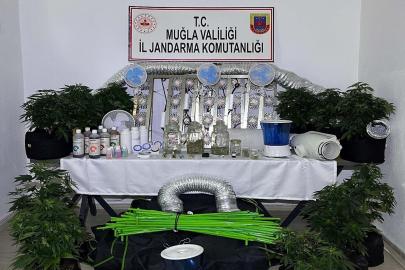 Muğla'da narkotuk operasyonlarında 12 tutuklama