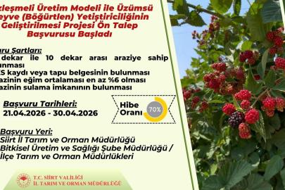 Sözleşmeli böğürtlen üretimi için ön talep başvuruları başladı