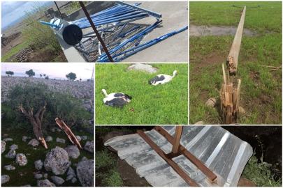 Çınar'da oluşan hortum maddi zarara yol açtı