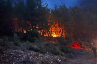 Orman yangınında 7 dönüm zarar gördü