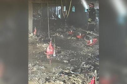 Bolu Mudurnu'da kümeste yangın! Yüzlercesi telef oldu