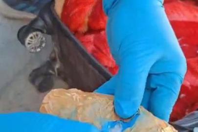 32 ilde dev uyuşturucu operasyonu! 298 şüpheli tutuklandı